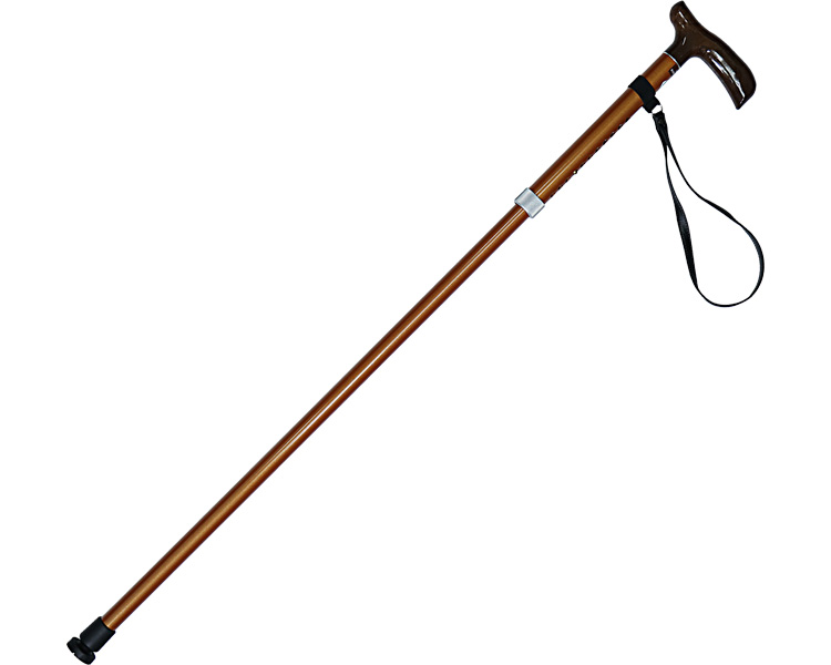 카루케인 M사이즈 지팡이 감차