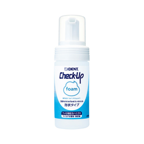 체크업폼 거품형 치약 DZHCUF*2 100mL