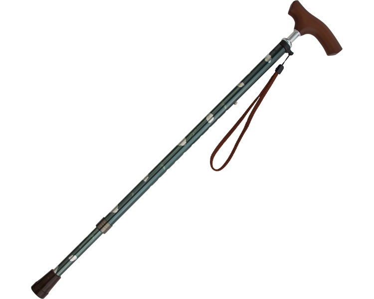 카이엔타이 오리지널Ⅱ(11단계 신축) CX-07006 동백나무