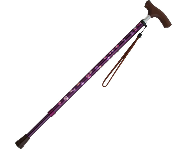 카이엔타이 오리지널Ⅱ(11단계 신축) CX-07006 코스모스